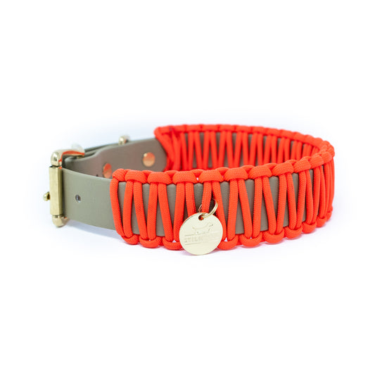 Biothane Paracord Halsband "Beige/Neonorange"
