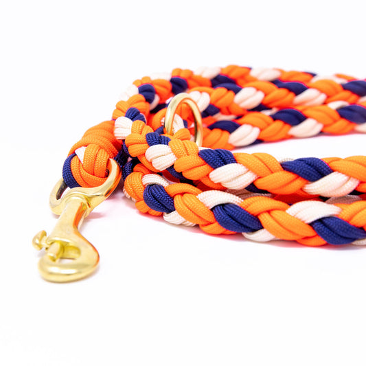 Paracord Leine "Eddy"