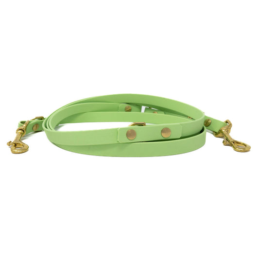Biothane Leine "Mint"