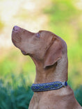 Bild in Galerie-Betrachter laden, Summer Halsband "Henry"
