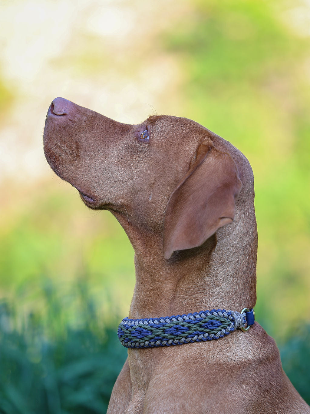 Summer Halsband "Henry"