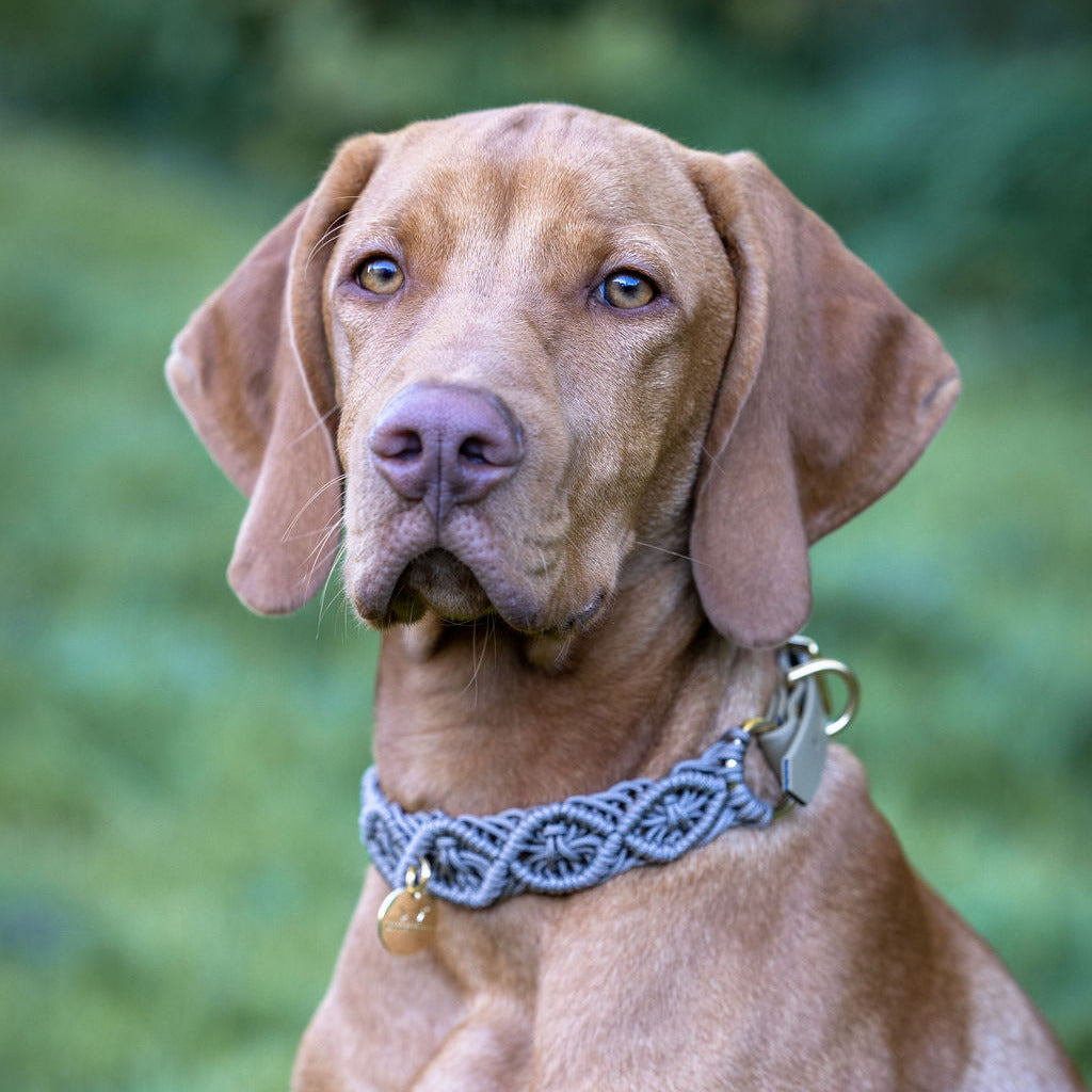 Ocean Halsband "Taubengrau"