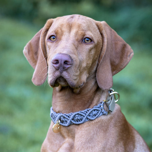 Ocean Halsband "Taubengrau"