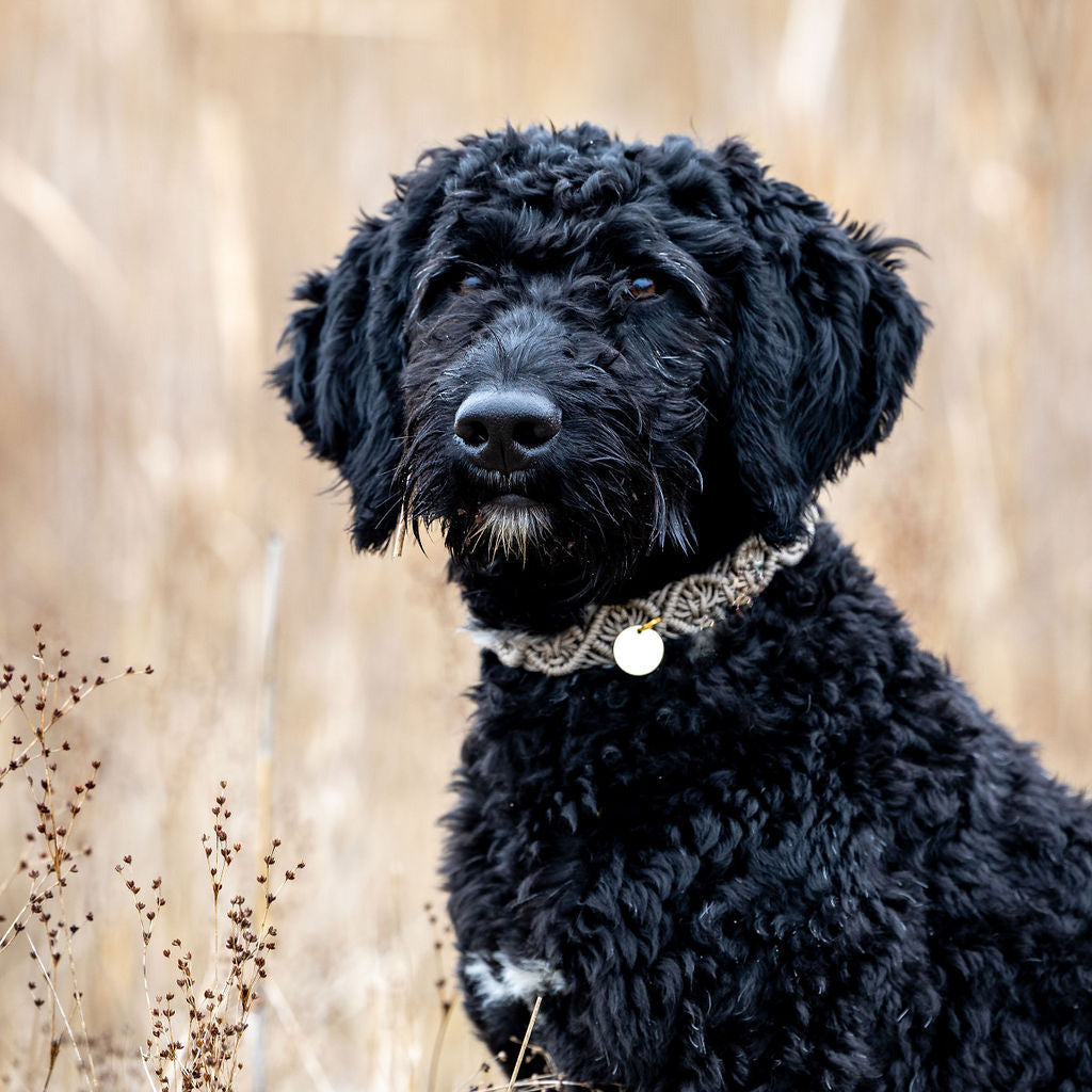 Ocean Halsband "Tan"