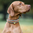 Bild in Galerie-Betrachter laden, Summer Halsband "Sparky"
