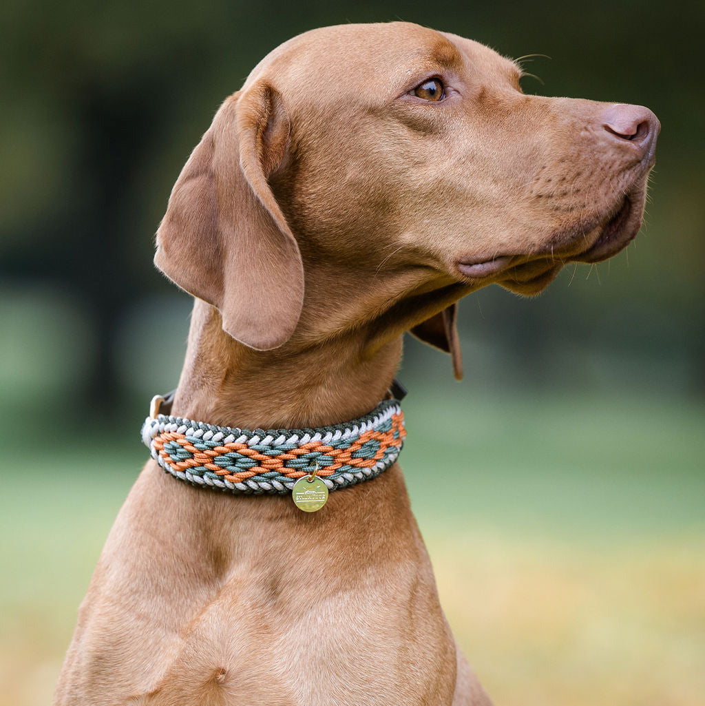 Summer Halsband "Sparky"