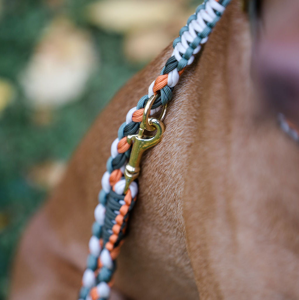Paracord leash "mauve"