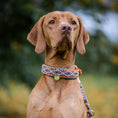 Bild in Galerie-Betrachter laden, Summer Halsband "Flora"
