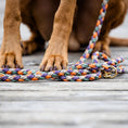 Load image into Gallery viewer, Paracord leash "mauve"
