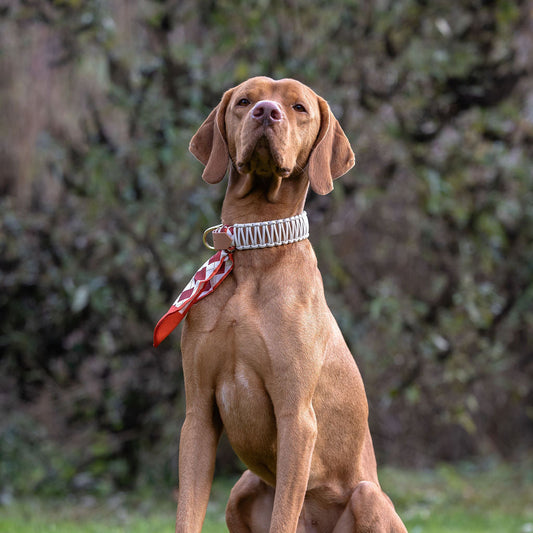 Stilhütte Schleife "kariert"