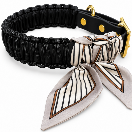 Collier en paracorde Biothane « Mauve/Mauve »