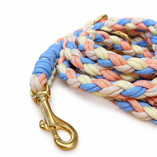 Laisse en paracorde « beige »