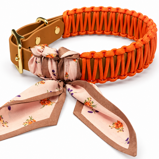Collier en paracorde Biothane « Mauve/Mauve »