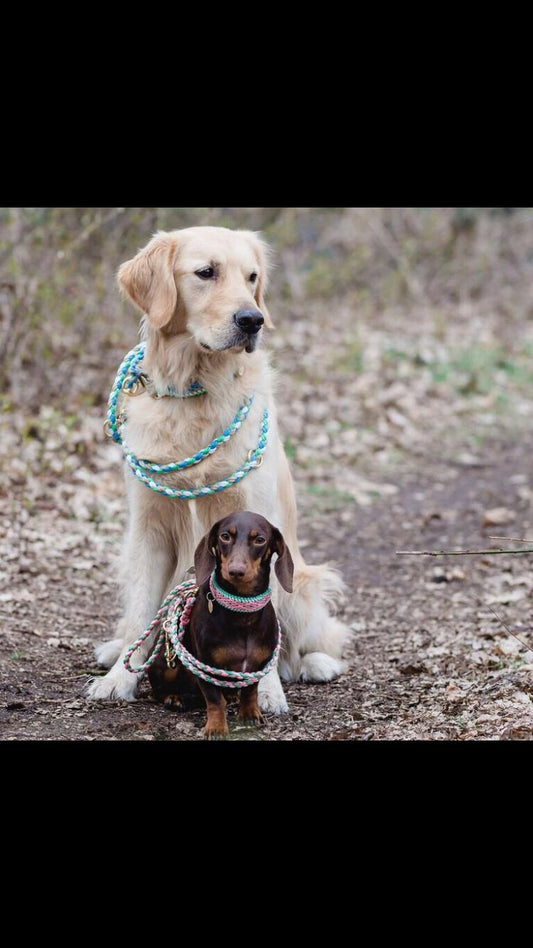 Laisse en paracorde « Pâques pour les filles »