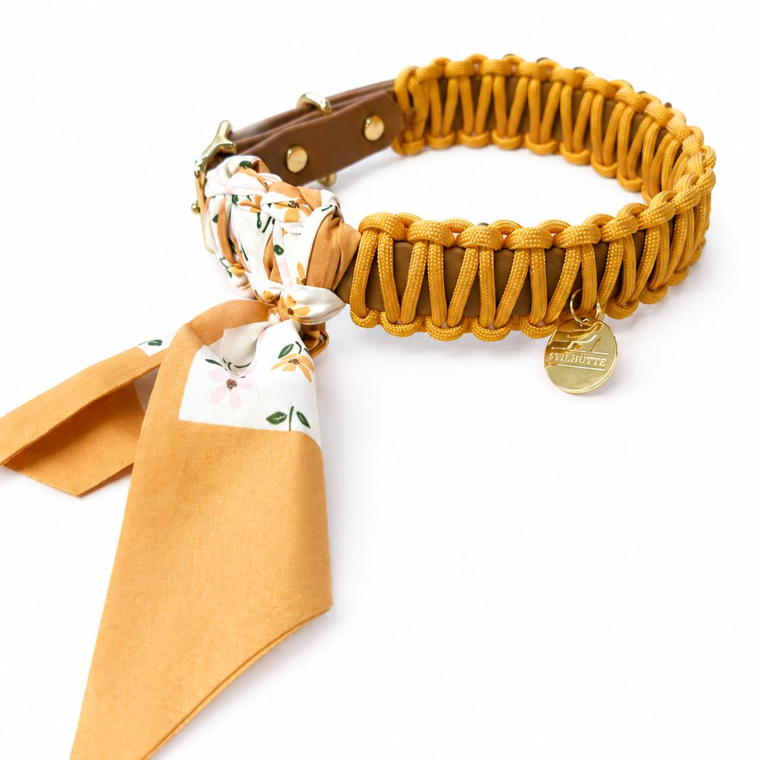 Collier en paracorde Biothane « Mauve/Mauve »