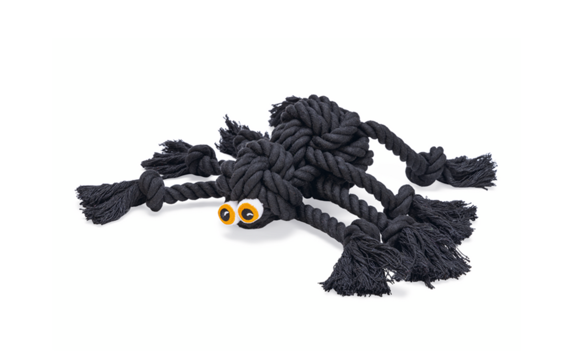 Spinne