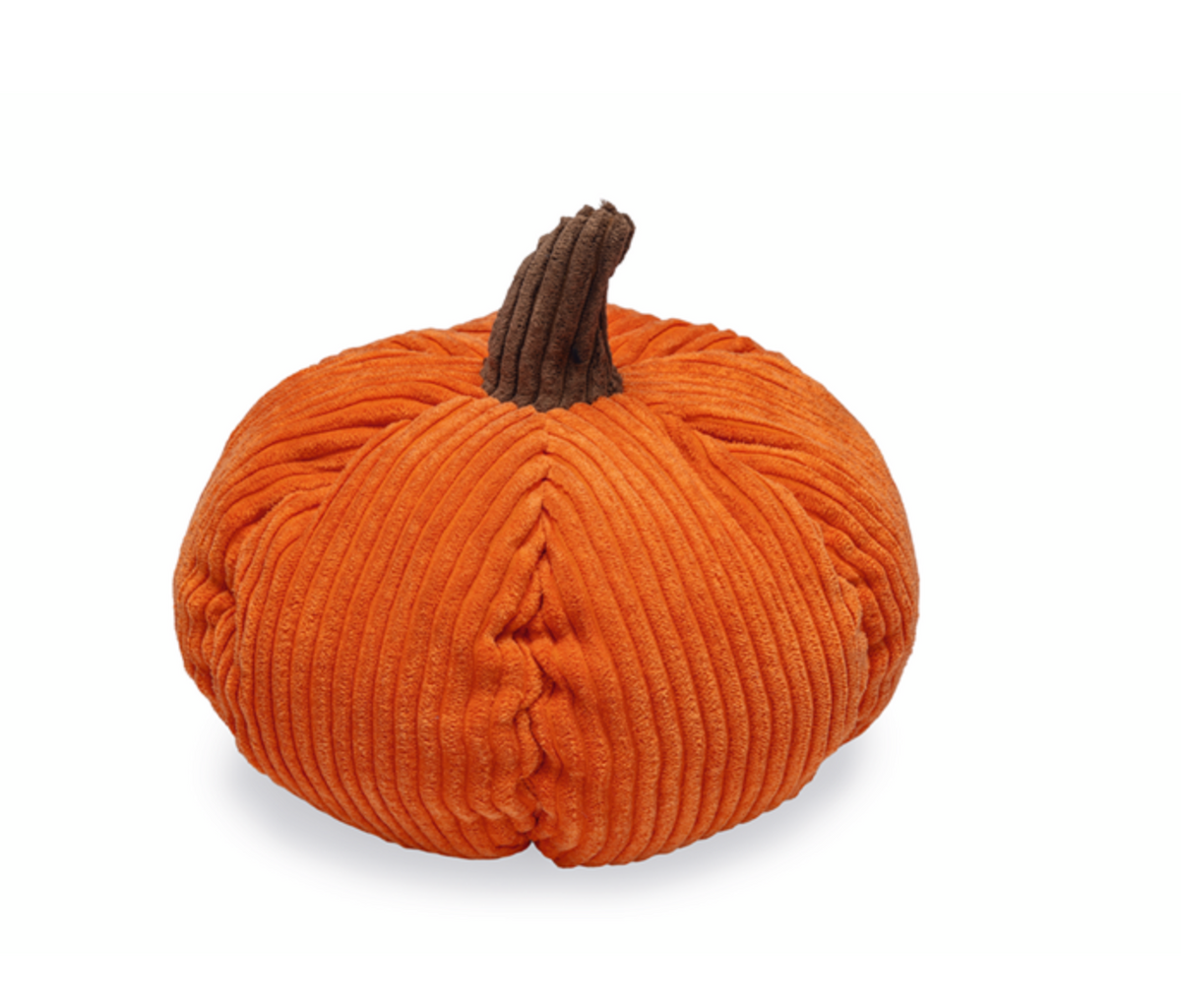Kürbis
