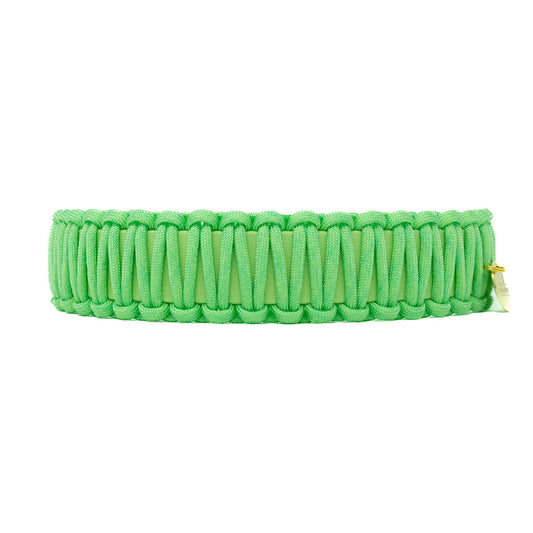 Biothane Paracord Halsband "Mint/Mint"
