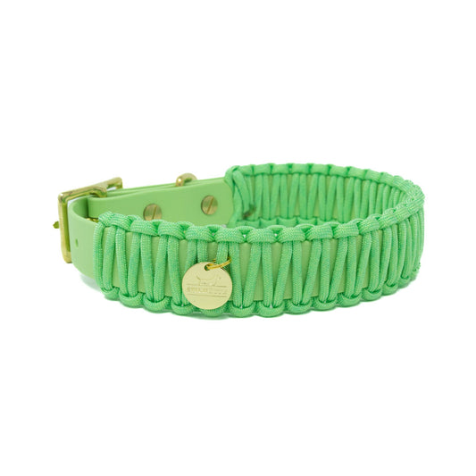Biothane Paracord Halsband "Mint/Mint"