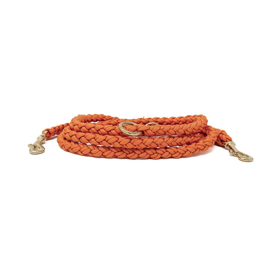 Paracord Leine "fox"