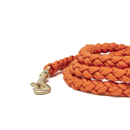 Paracord Leine "fox"