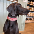 Bild in Galerie-Betrachter laden, Summer Halsband "Ciri"
