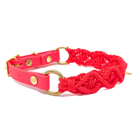 Ocean Halsband "Lachspink"