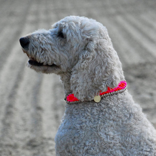 Summer Halsband "Sylt"